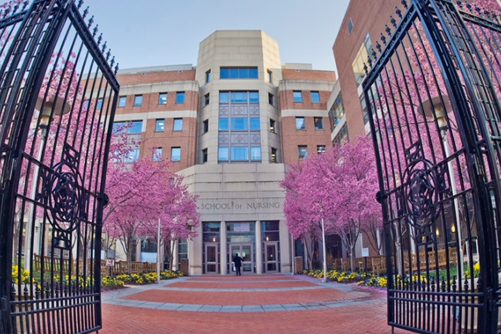 UMB School of Nursing